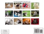 Cover page of the KITTENS ENGAGEMENT CALENDAR 2027 featuring a grid of kitten photos in bordered boxes across multiple rows, with the title centered at the top.