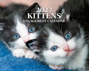 Close-up of two fluffy kittens with blue eyes resting on blue jeans, with '2027 KITTENS ENGAGEMENT CALENDAR' text across them.