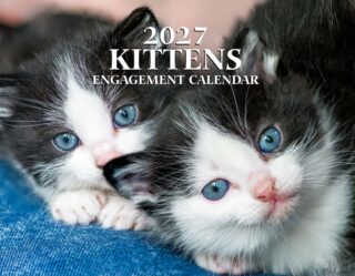 Close-up of two fluffy kittens with blue eyes resting on blue jeans, with '2027 KITTENS ENGAGEMENT CALENDAR' text across them.