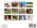 Puppies Engagement Calendar 2027: grid of 12 puppy photos by breed.
