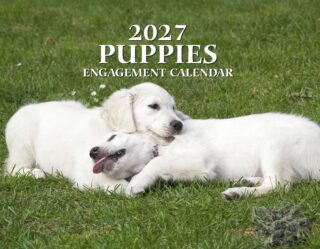 Two white retriever puppies cuddling and playing on a grassy lawn.